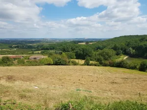Eurl Granzotto à 47150 Monflanquin