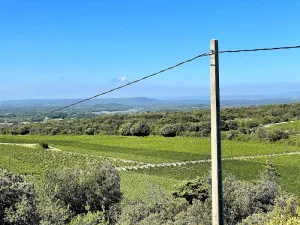 Guion Régis Eurl à Taulignan