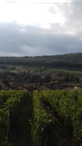 Barraud Jean-Louis à Saint-Gengoux-de-Scissé