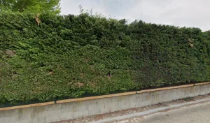 Espace Concept à Sainte-Eulalie