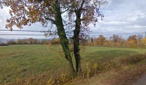 charpente du grand colombier à Arvière-en-Valromey
