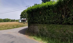 Thuilier Patrick à 87250 Bessines-sur-Gartempe