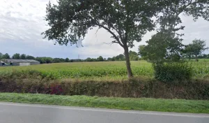 JOUANNO CHARPENTE à Noyal-Pontivy