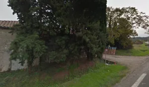 Capgrand Rémy à Sérignac-sur-Garonne