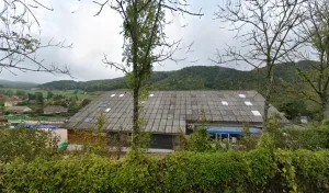 Brochier à Bilieu