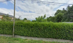 Lecomte Eurl à Vimines