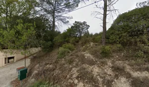 Bordreuil David à Bagnols-en-Forêt
