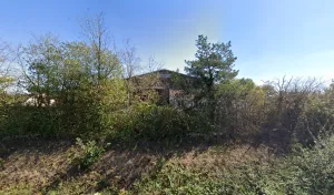 Colineau Snc à Mazières-en-Mauges