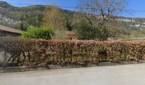 SARL DOY FRERES à Nantua