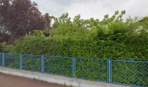 Batietbois à L'Arbresle