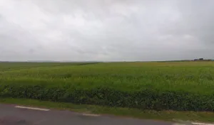 Concept Bois Côte D’Opale à Preures