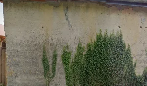 Colas charpente à Saint-André-le-Gaz