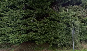 SARL POILVERT à Bréhand