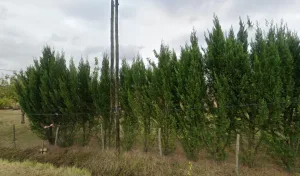 Etablissement Boisleve à Saint-Barthélémy-d'Agenais
