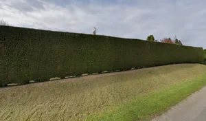 Quesney Fils Yves à Bosc-Hyons