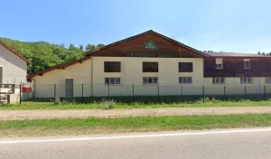 Charpente Borel à Chantesse