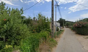 Au fil du bois à La Crau
