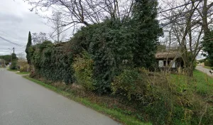 Bc charpente à Eaunes