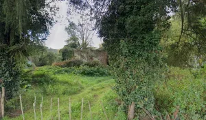 Aquitaine Bois Charpente à 24460 Château-l'Évêque