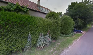 Braun Peter à Sens-Beaujeu