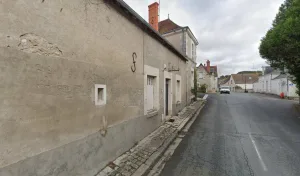 Ronce Michel à Saint-Jean-Saint-Germain