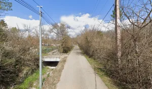 Charpente Remi Billot à Callian