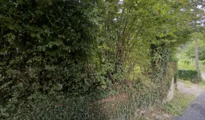 Charpente HD à Entraygues-sur-Truyère