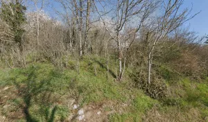 Marcoux Eurl à Saint-Julien-d'Oddes