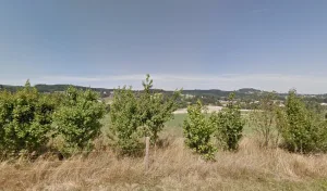 2 bouts de bois à Tence