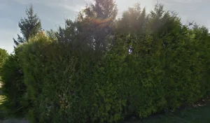 Travaux Bâtiments Augé Cazemajou SNC à Blasimon