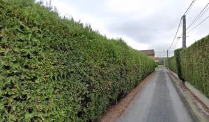 Etablissements Monnet Pere Et Fils à 69910 Villié-Morgon