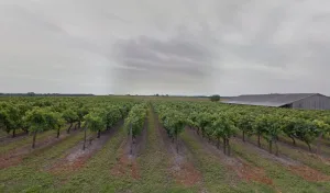 M Et S Mondy Sarl à Saint-Bonnet