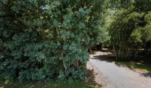 EURL Giral à Saint-Vivien-de-Médoc