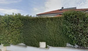Alu 5 Plus Sarl à Brunstatt-Didenheim